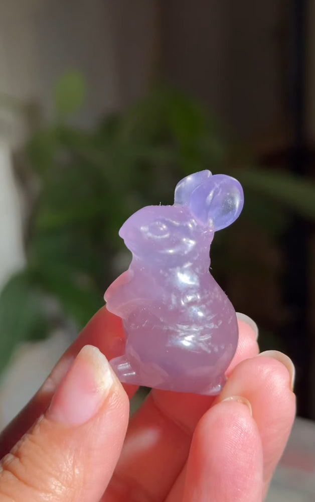 
                  
                    RESERVED LISTING - erinfetz
                  
                