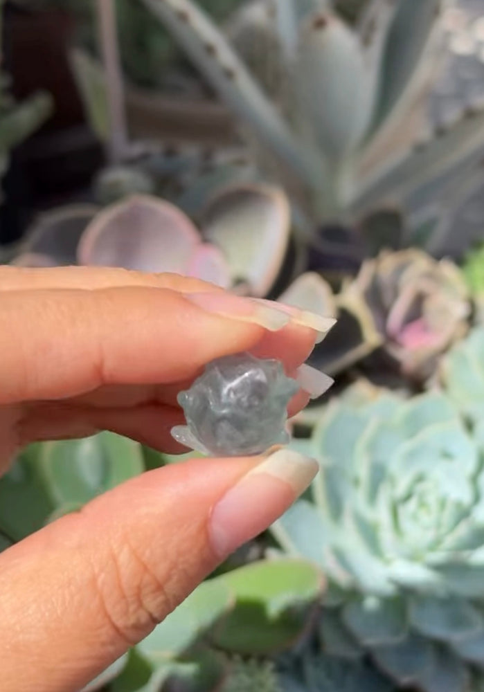 
                  
                    RESERVED LISTING - leftoverlexapro
                  
                