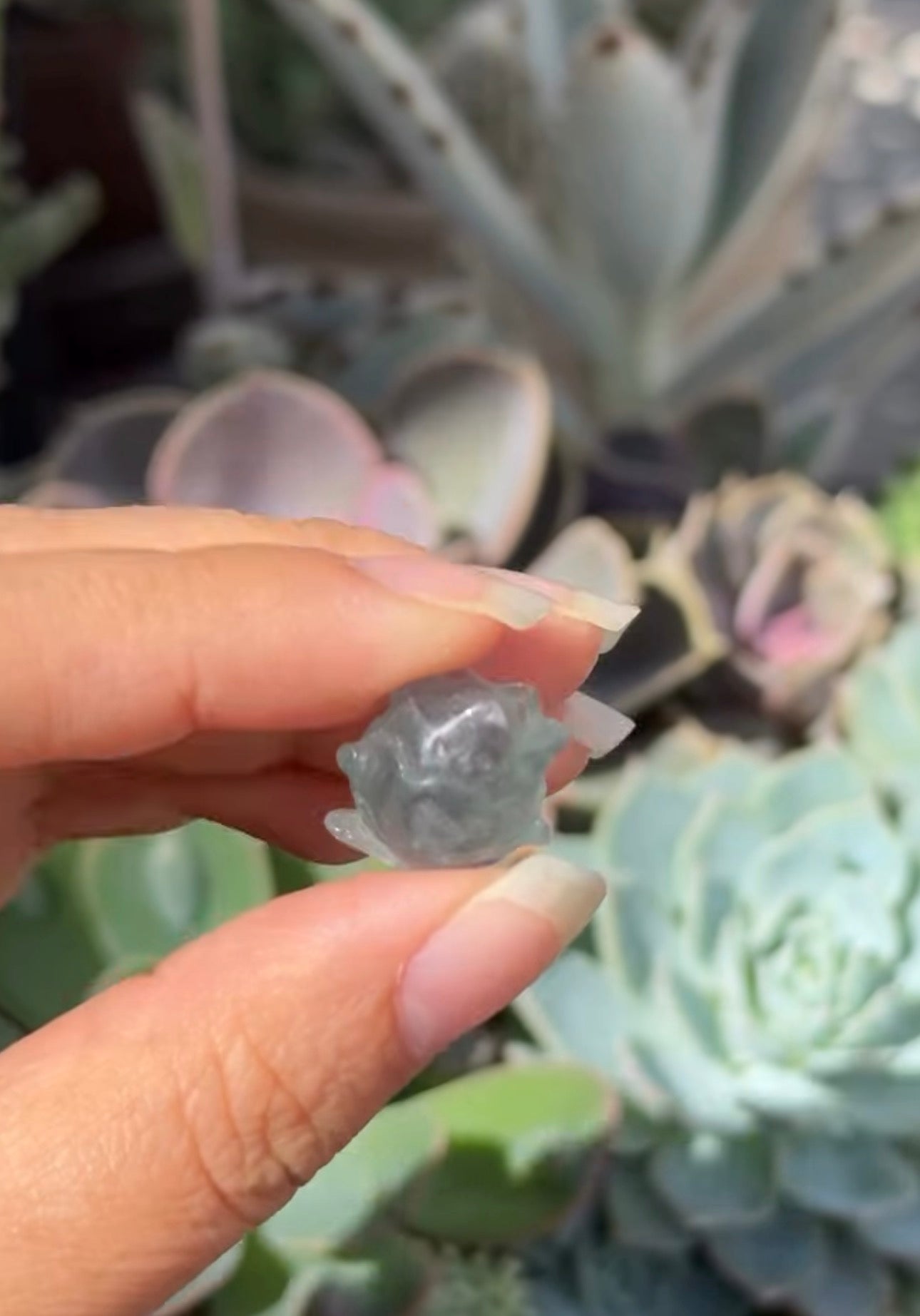 
                  
                    RESERVED LISTING - leftoverlexapro
                  
                