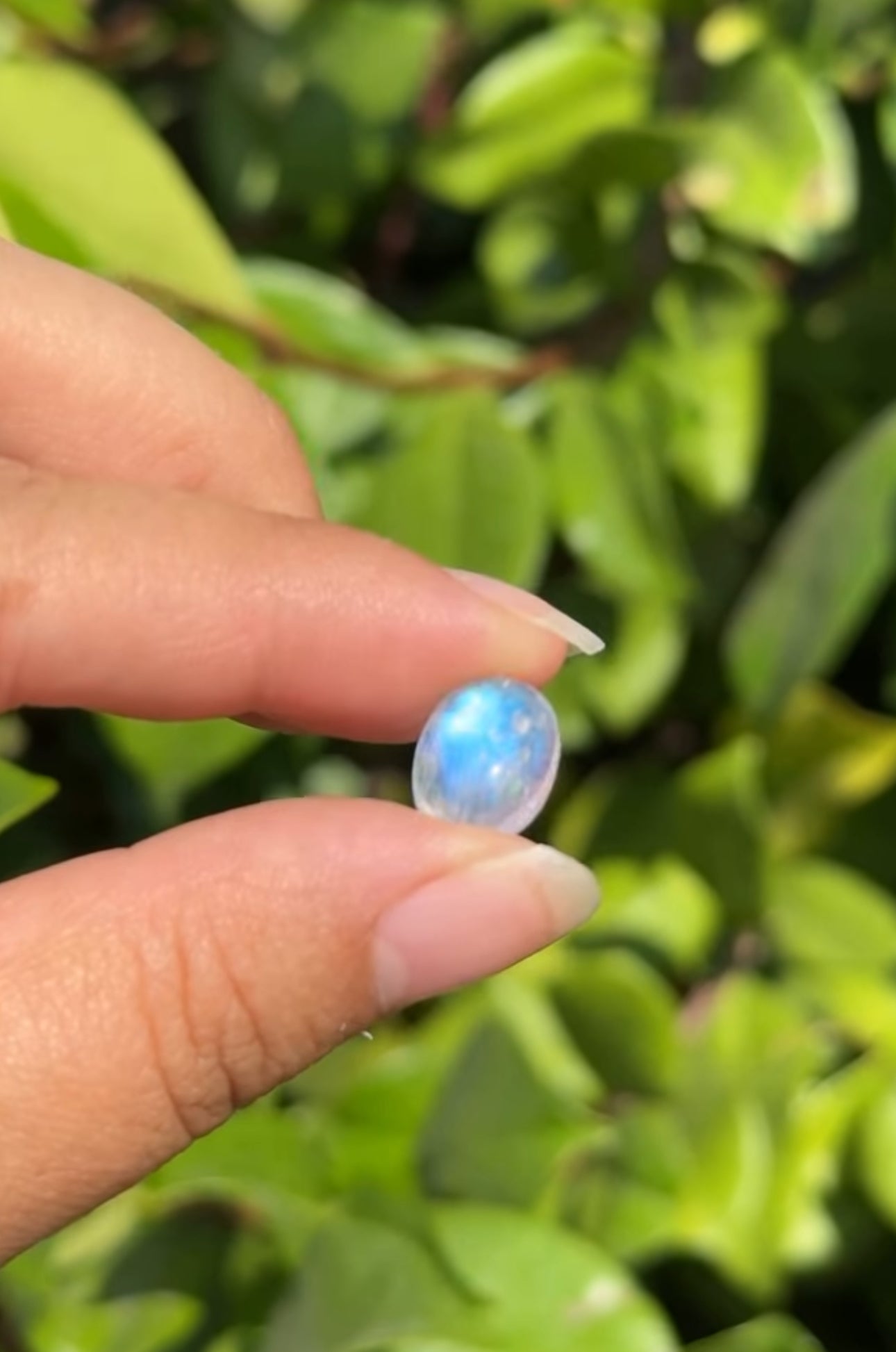 
                  
                    RESERVED LISTING - zombieboy69
                  
                