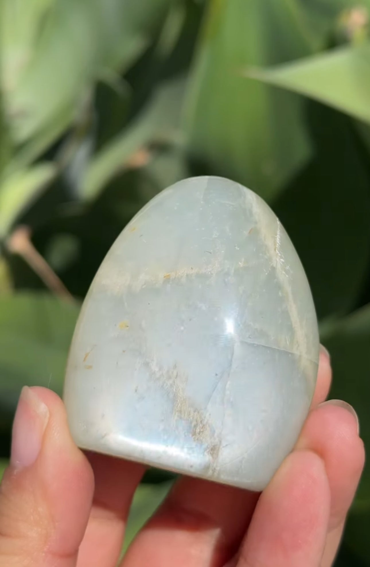 
                  
                    RESERVED LISTING - kelseyplanslife
                  
                