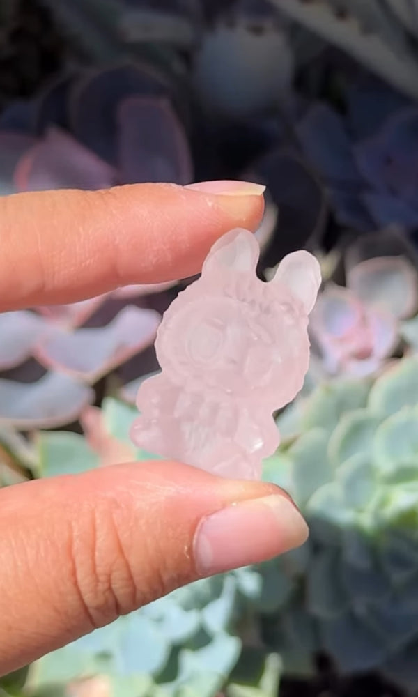 
                  
                    RESERVED LISTING - catniss_evergreen
                  
                