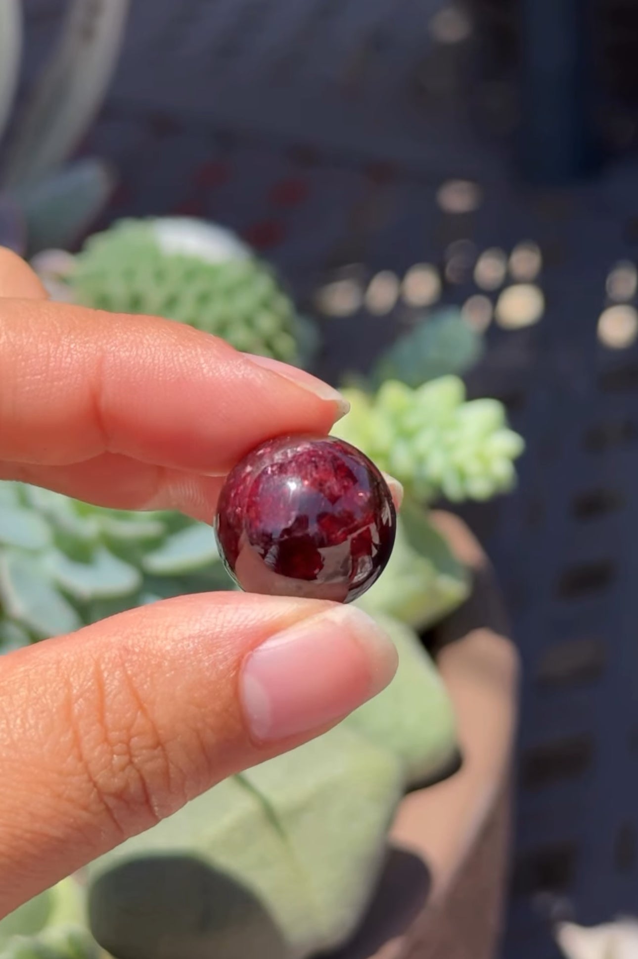 
                  
                    RESERVED LISTING - red_letter187
                  
                