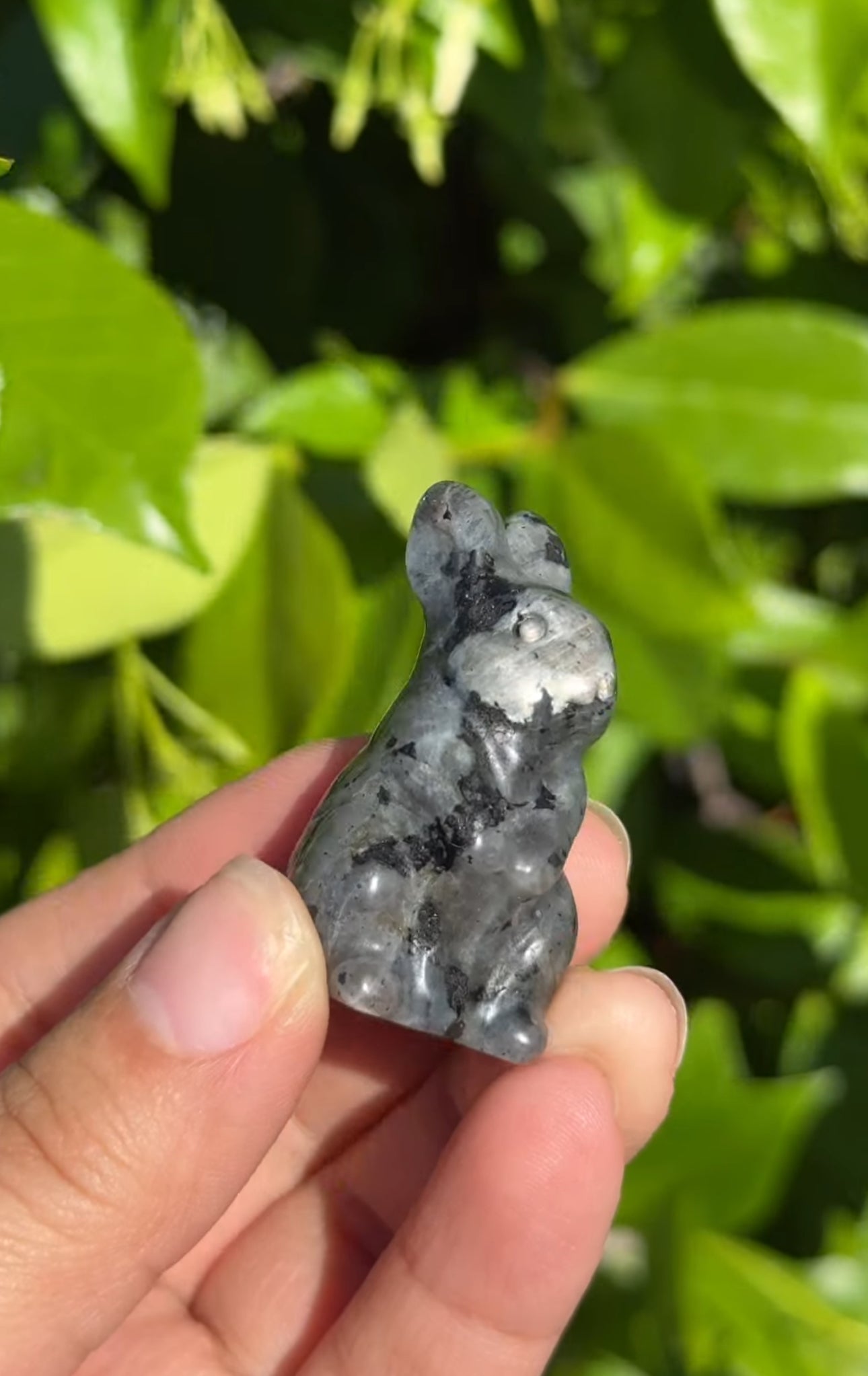 
                  
                    RESERVED LISTING - ak_miller226
                  
                