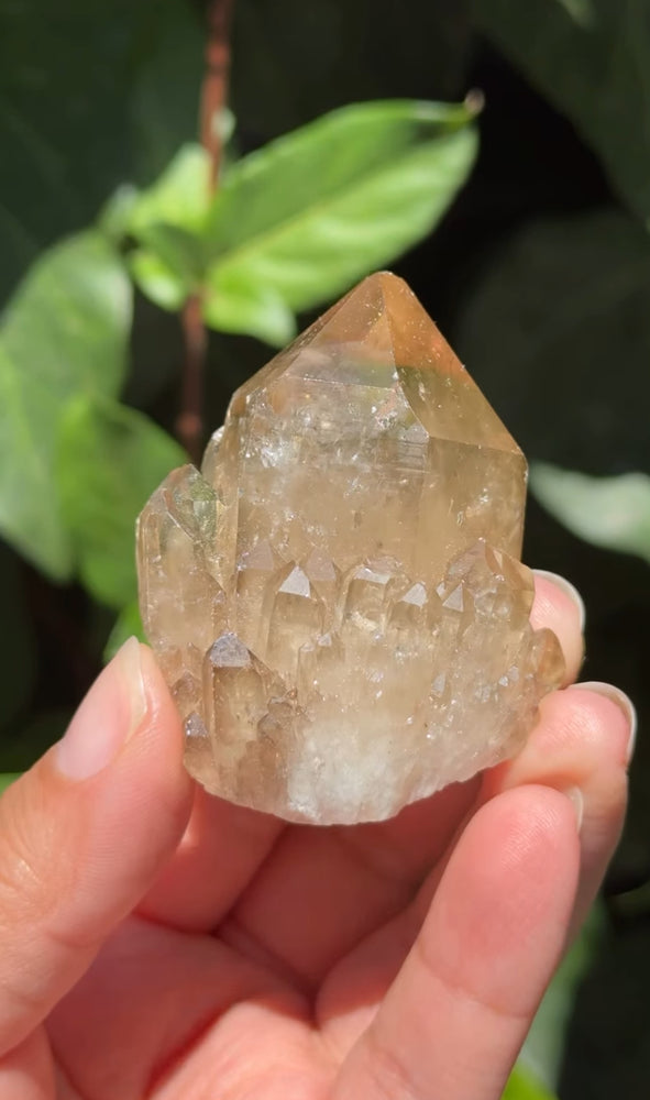 
                  
                    RESERVED LISTING - ghostofgabby
                  
                