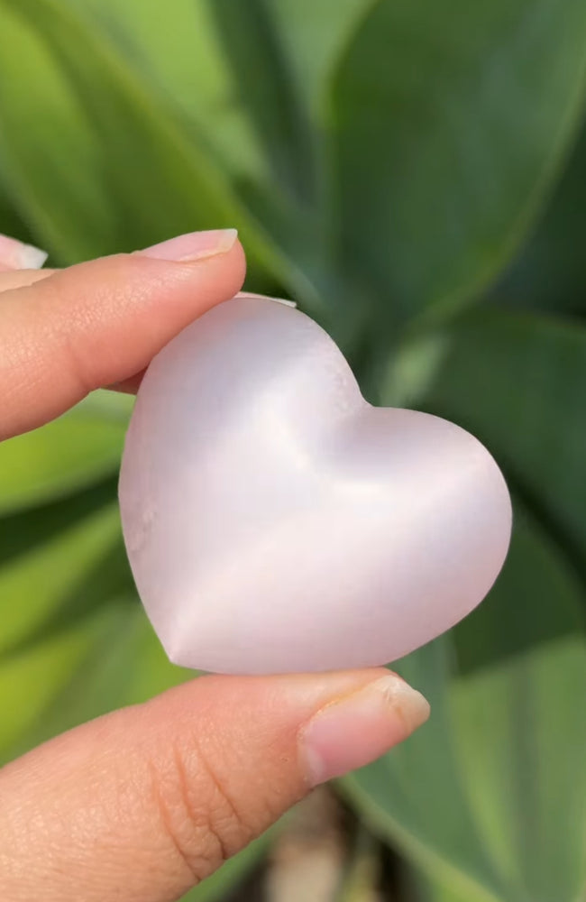 
                  
                    RESERVED LISTING - catniss_evergreen
                  
                