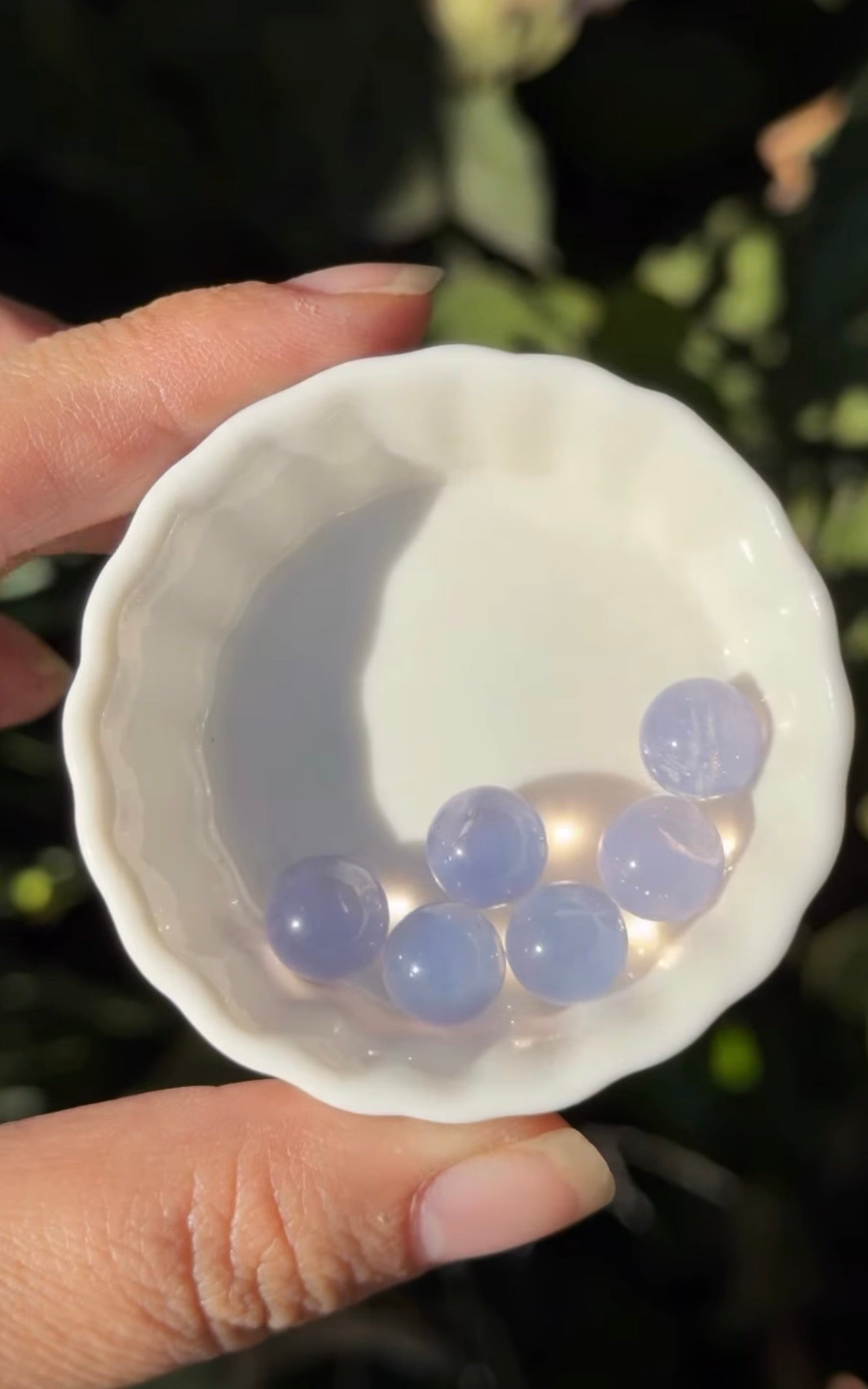 
                  
                    RESERVED LISTING - caniscurio
                  
                