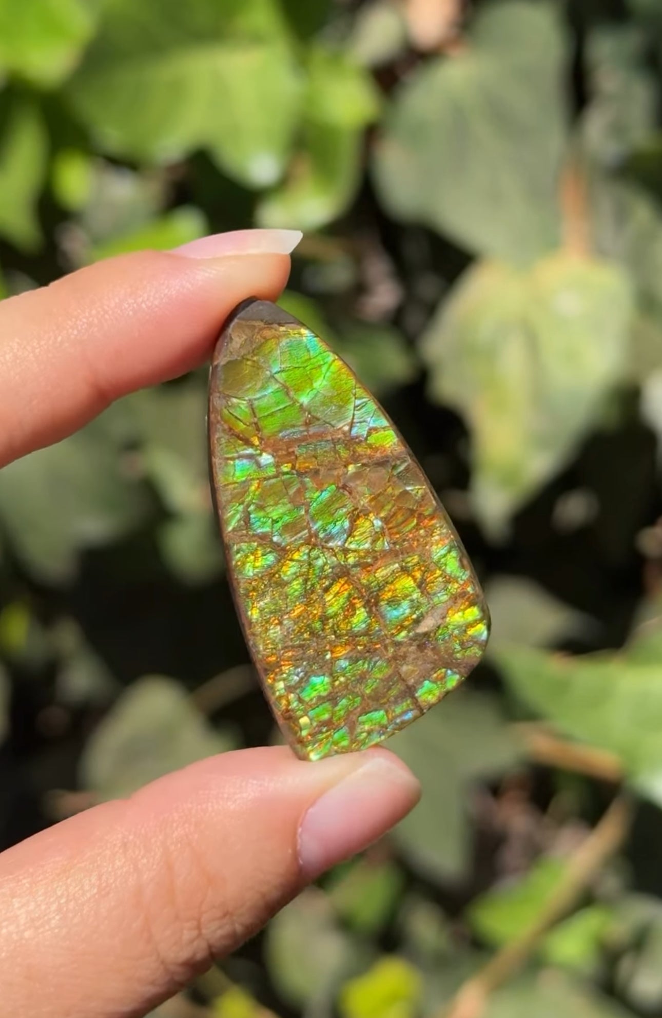 
                  
                    RESERVED LISTING - Joey.stoeckert
                  
                