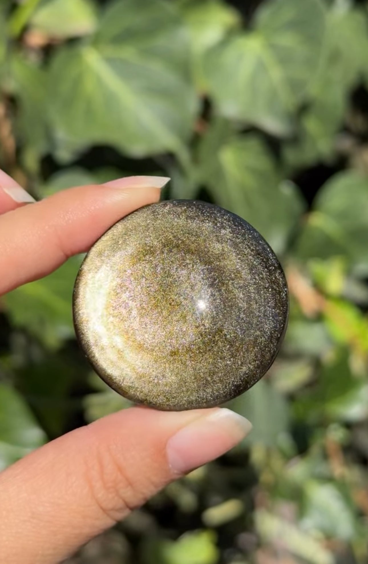 
                  
                    RESERVED LISTING - c_genesisallison87
                  
                