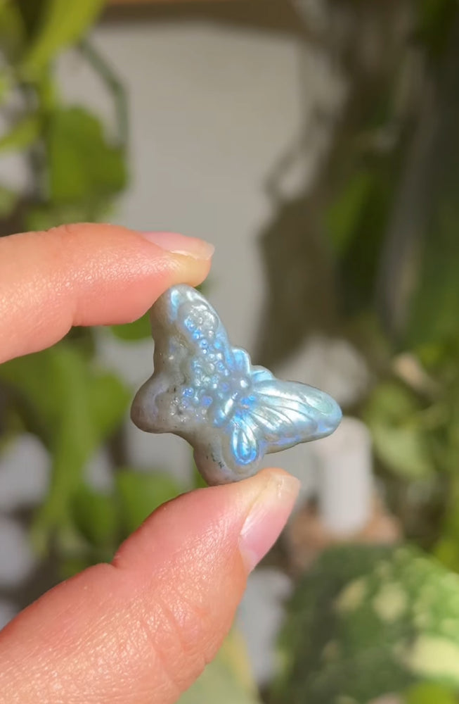 
                  
                    RESERVED LISTING - afauxghost
                  
                