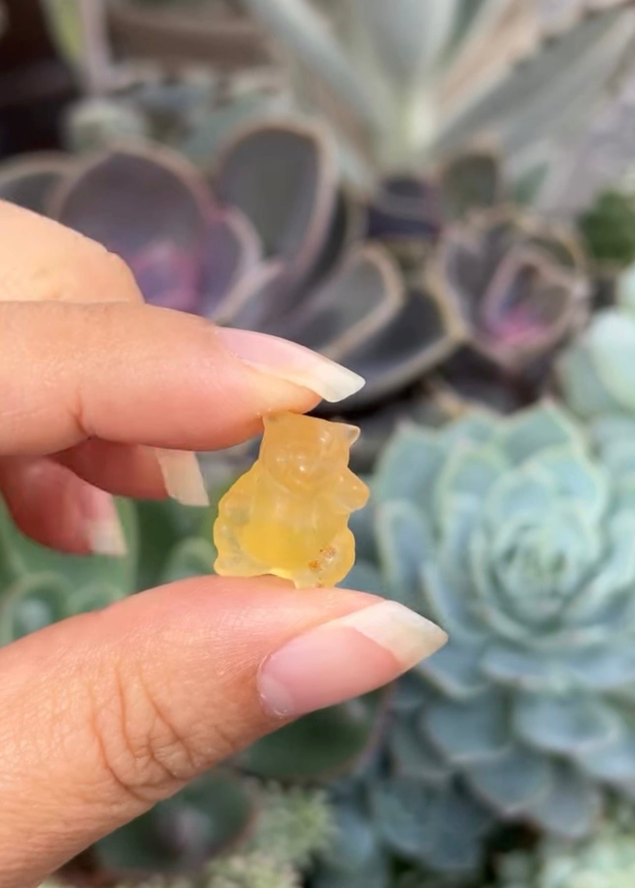 
                  
                    RESERVED LISTING - leftoverlexapro
                  
                