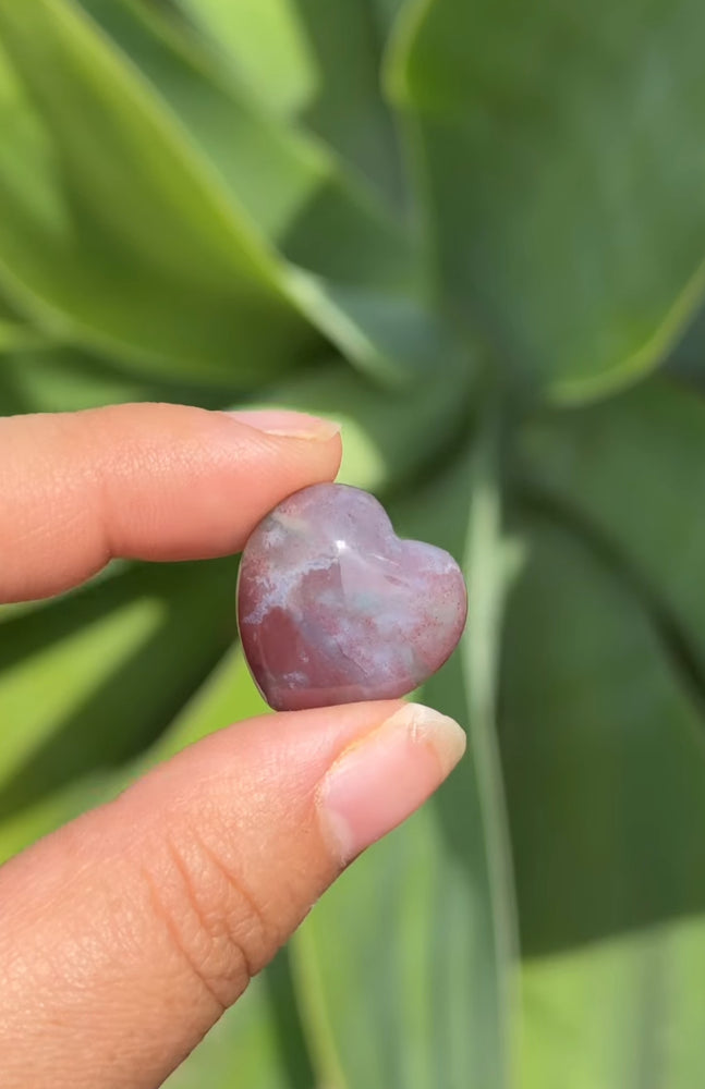 
                  
                    RESERVED LISTING - kelseyplanslife
                  
                