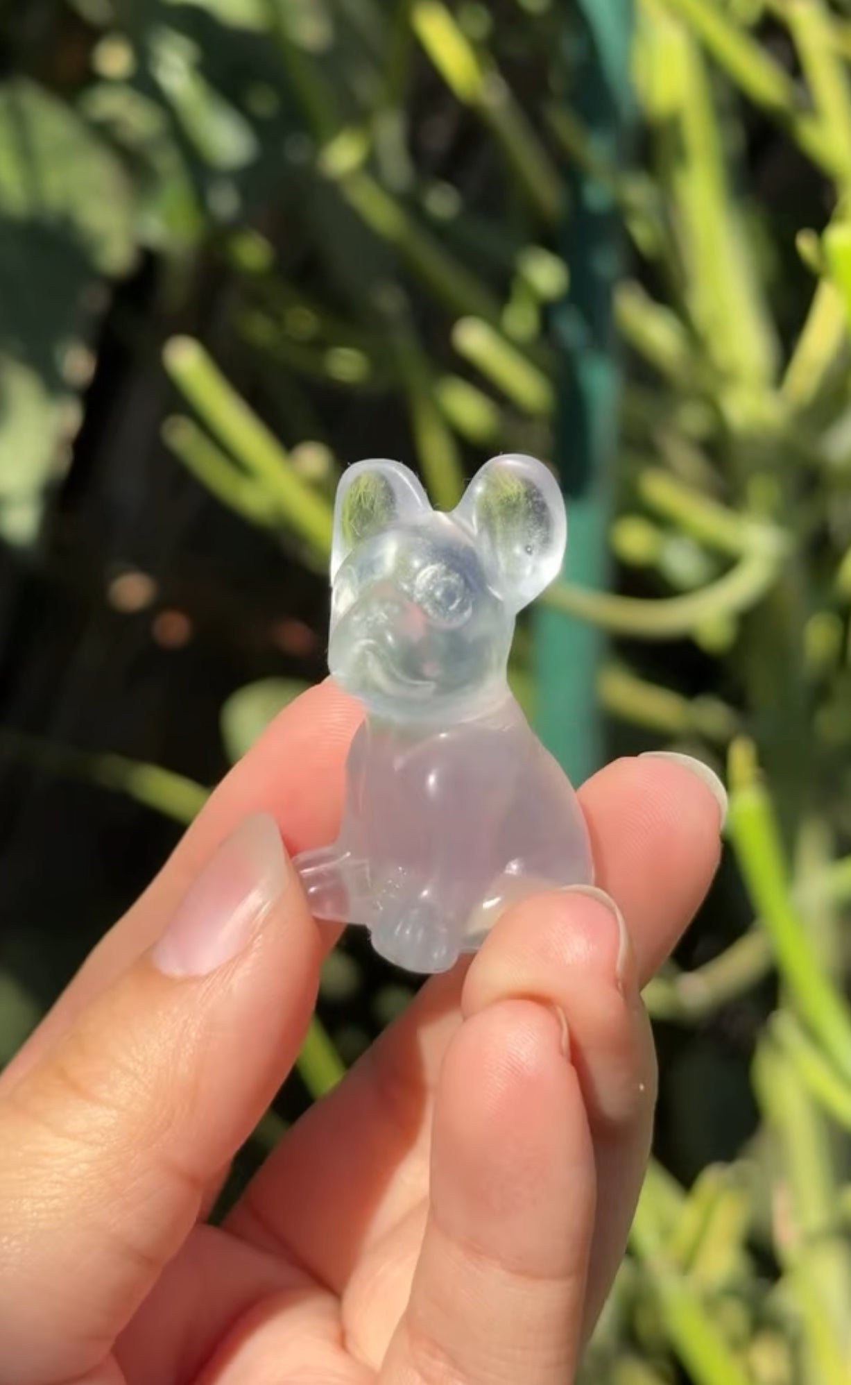 
                  
                    RESERVED LISTING - romae.aquino
                  
                