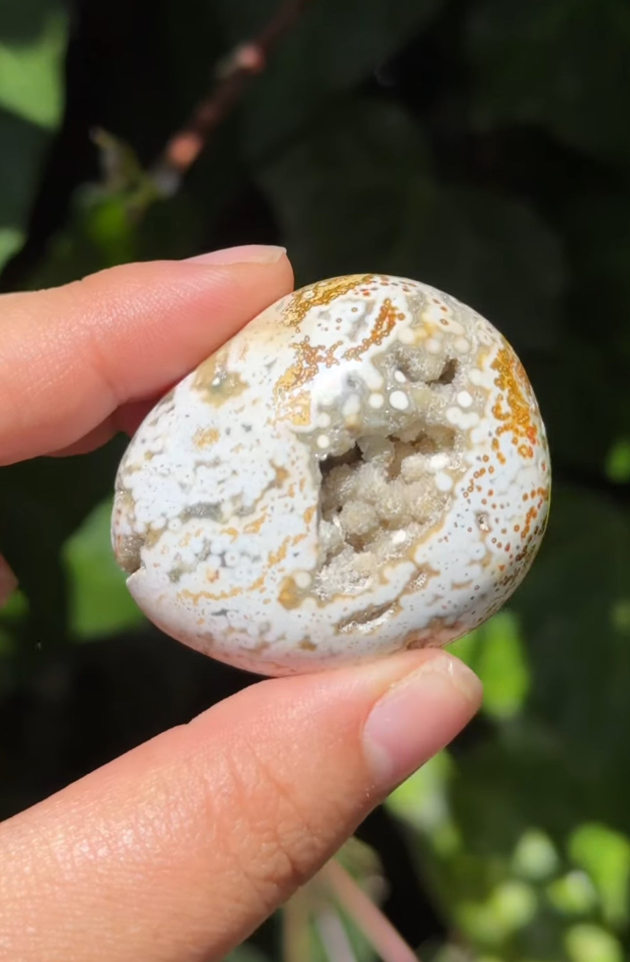 
                  
                    RESERVED LISTING - im_just_walkin_here
                  
                