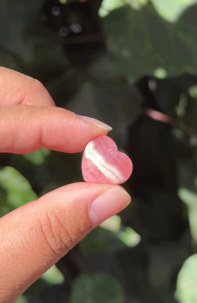 
                  
                    RESERVED LISTING - loliastardust
                  
                