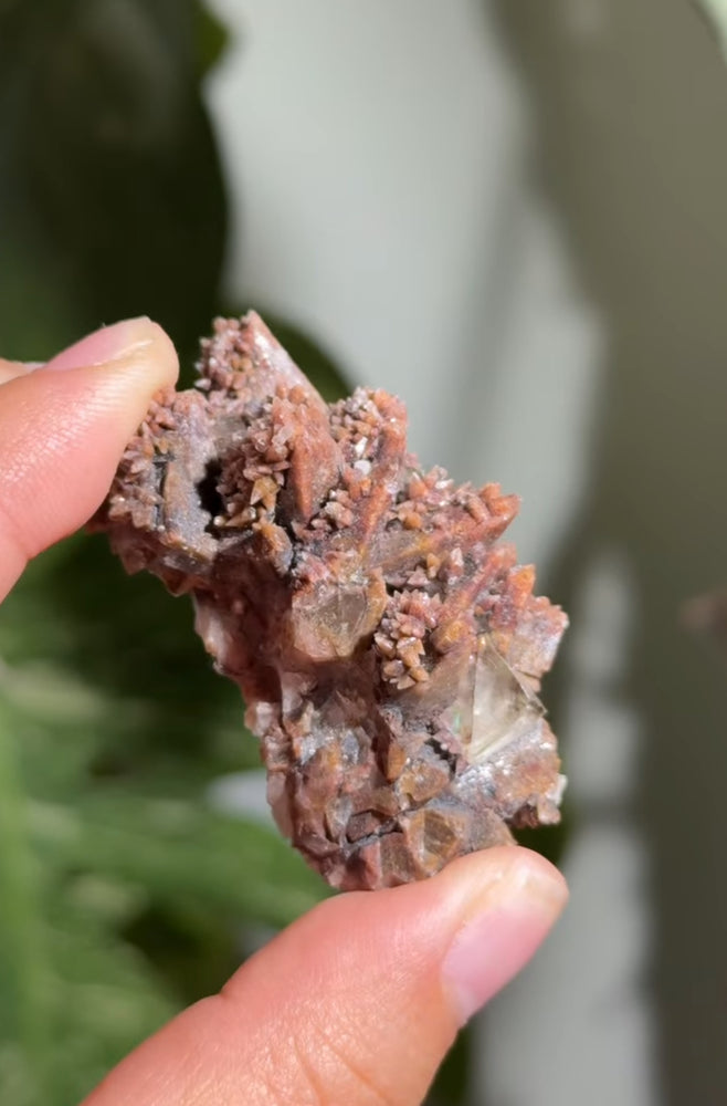 
                  
                    RESERVED LISTING - catniss_evergreen
                  
                