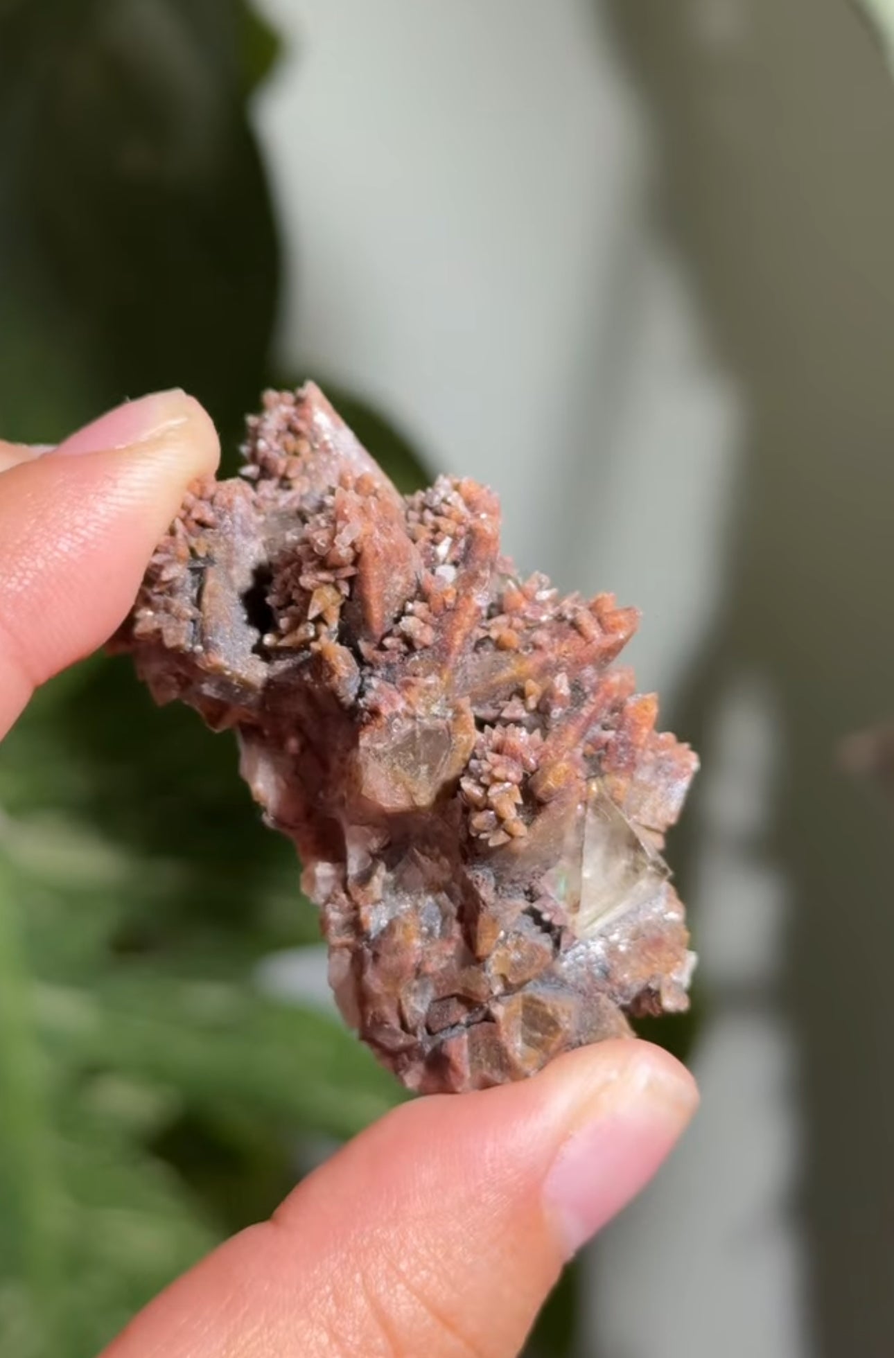 
                  
                    RESERVED LISTING - catniss_evergreen
                  
                