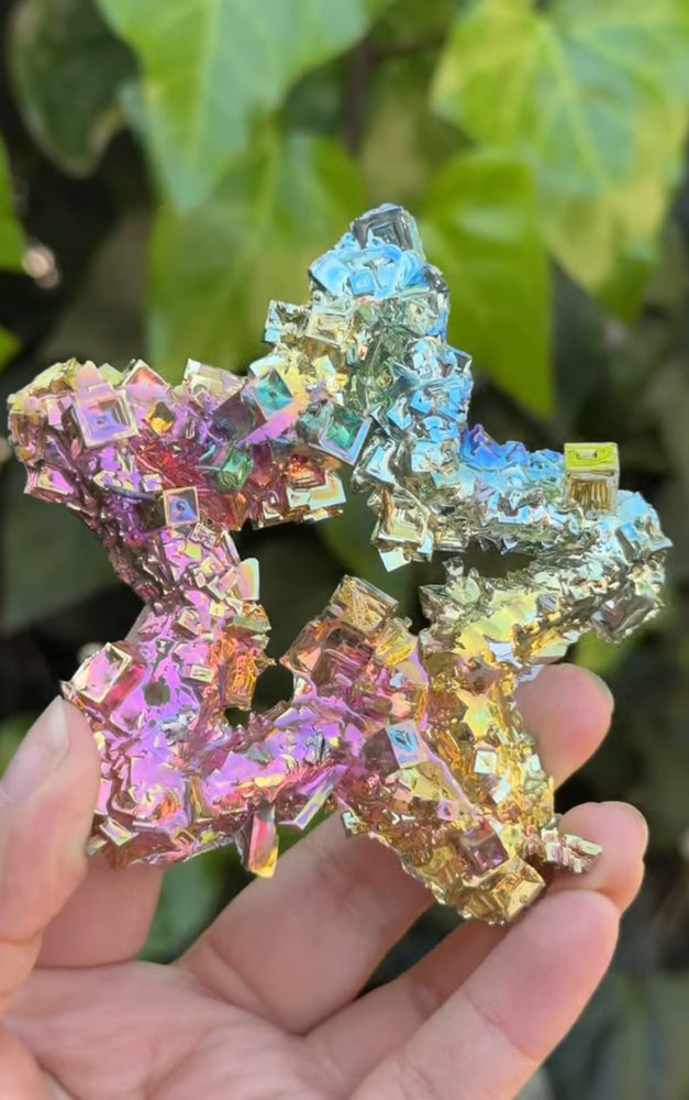 
                  
                    RESERVED LISTING - kelseyplanslife
                  
                