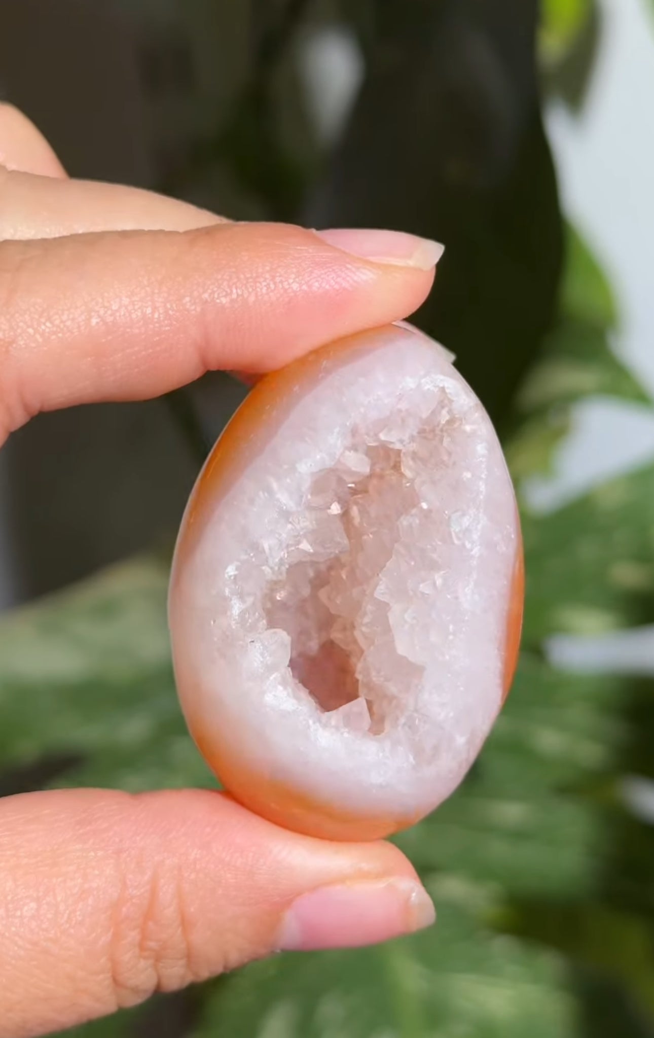 
                  
                    RESERVED LISTING - melty82
                  
                