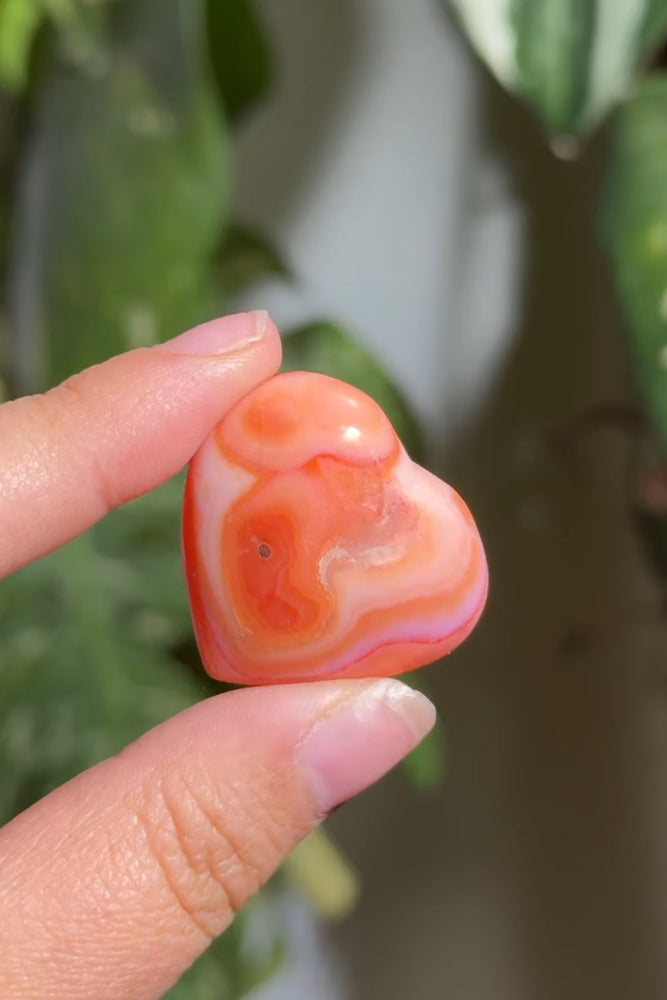 
                  
                    RESERVED LISTING - romae.aquino
                  
                