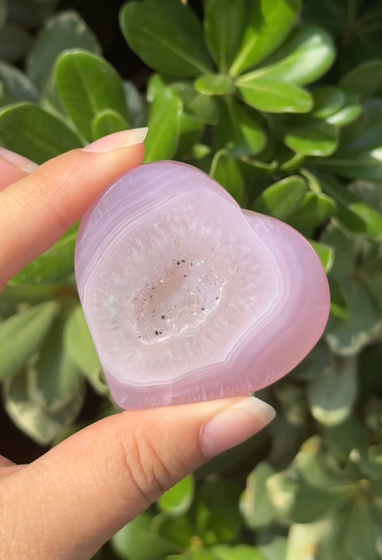 
                  
                    RESERVED LISTING - c_genesisallison87
                  
                