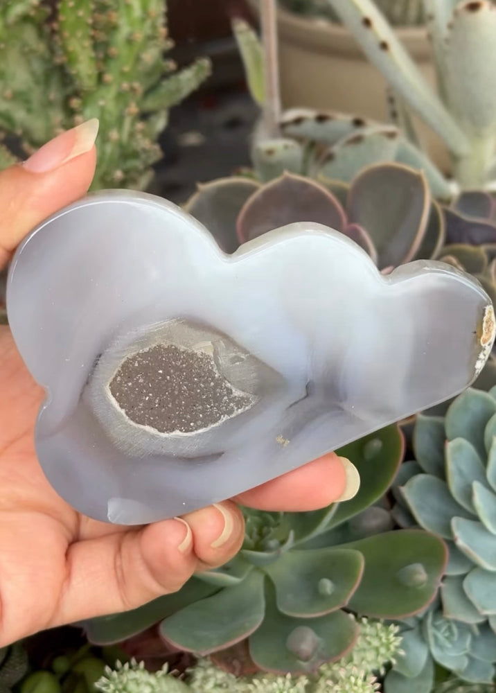 
                  
                    RESERVED LISTING - c_genesisallison87
                  
                