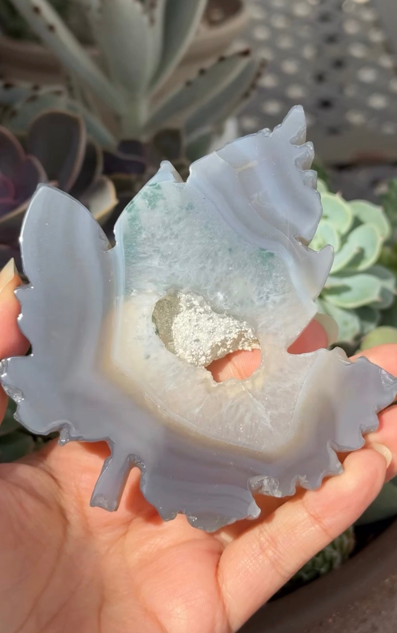 
                  
                    RESERVED LISTING - c_genesisallison87
                  
                