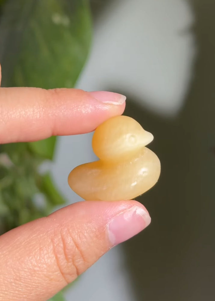 
                  
                    RESERVED LISTING - kelseyplanslife
                  
                