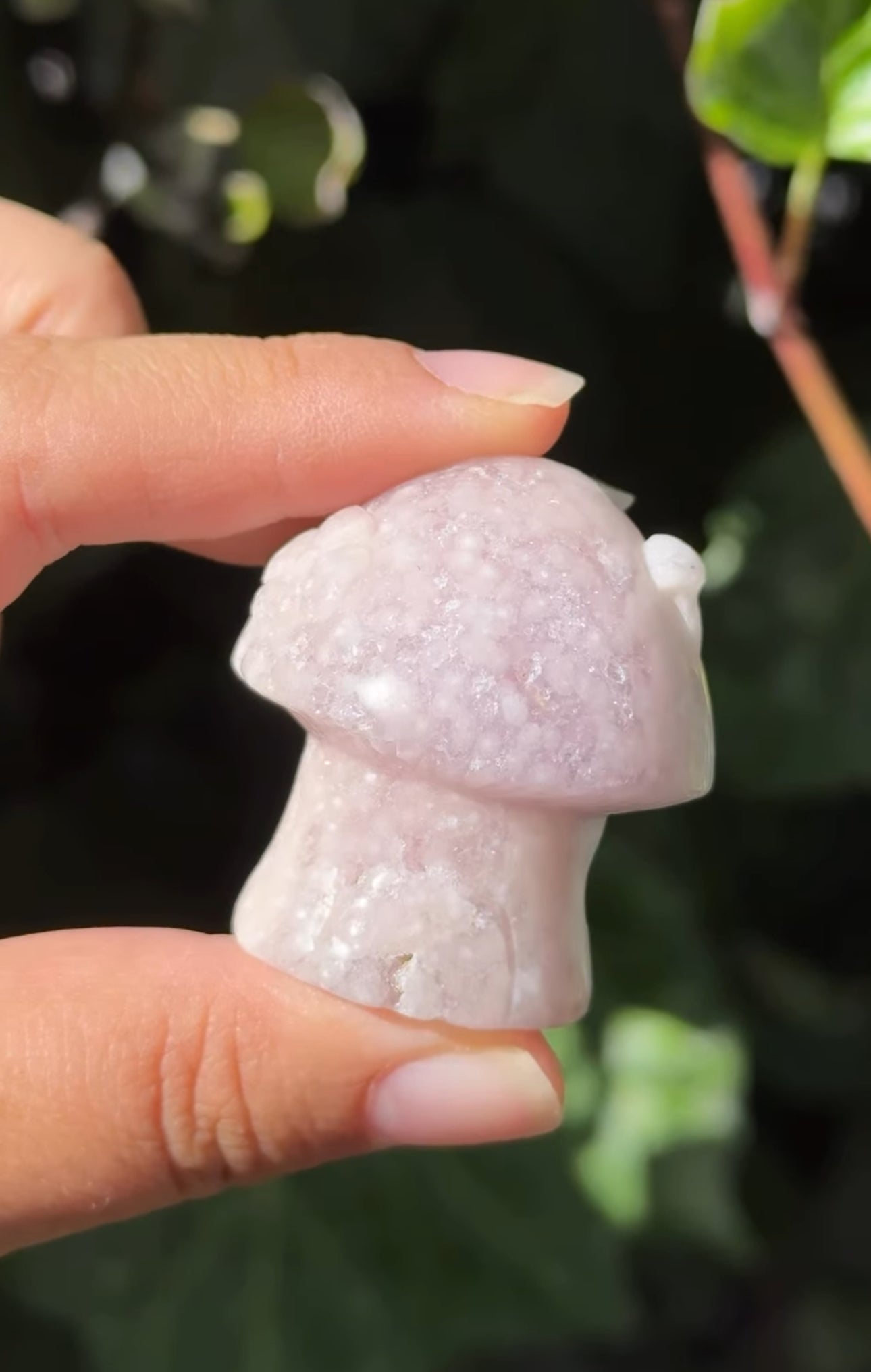 
                  
                    RESERVED LISTING - c_genesisallison87
                  
                