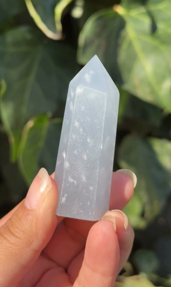 
                  
                    RESERVED LISTING - erinfetz
                  
                