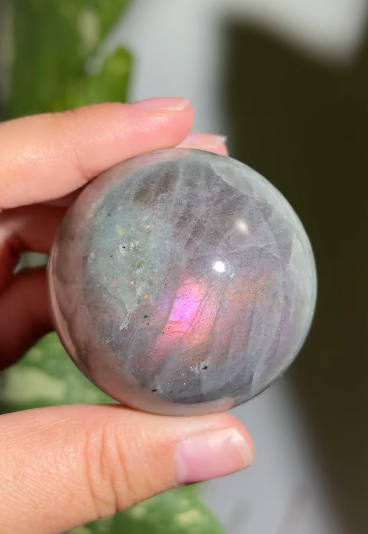 
                  
                    RESERVED LISTING - kelseyplanslife
                  
                