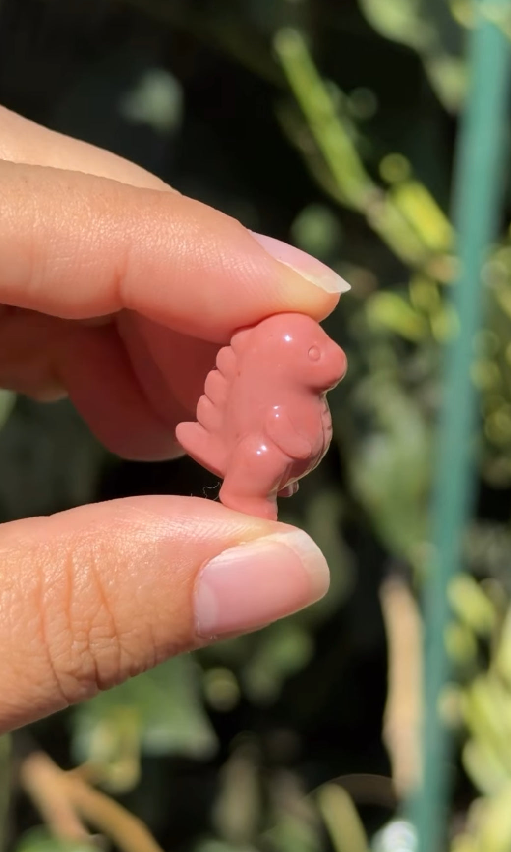 
                  
                    RESERVED LISTING - leftoverlexapro
                  
                