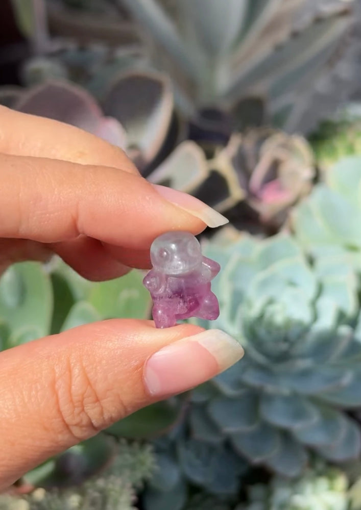 
                  
                    RESERVED LISTING - Erin
                  
                