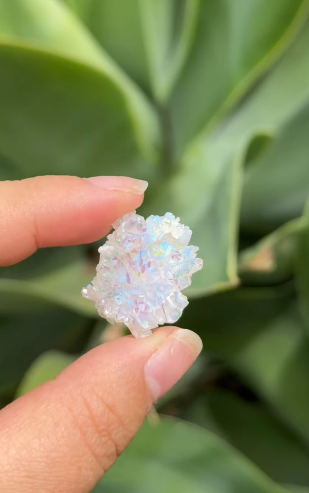 
                  
                    RESERVED LISTING - starlitdreamr
                  
                