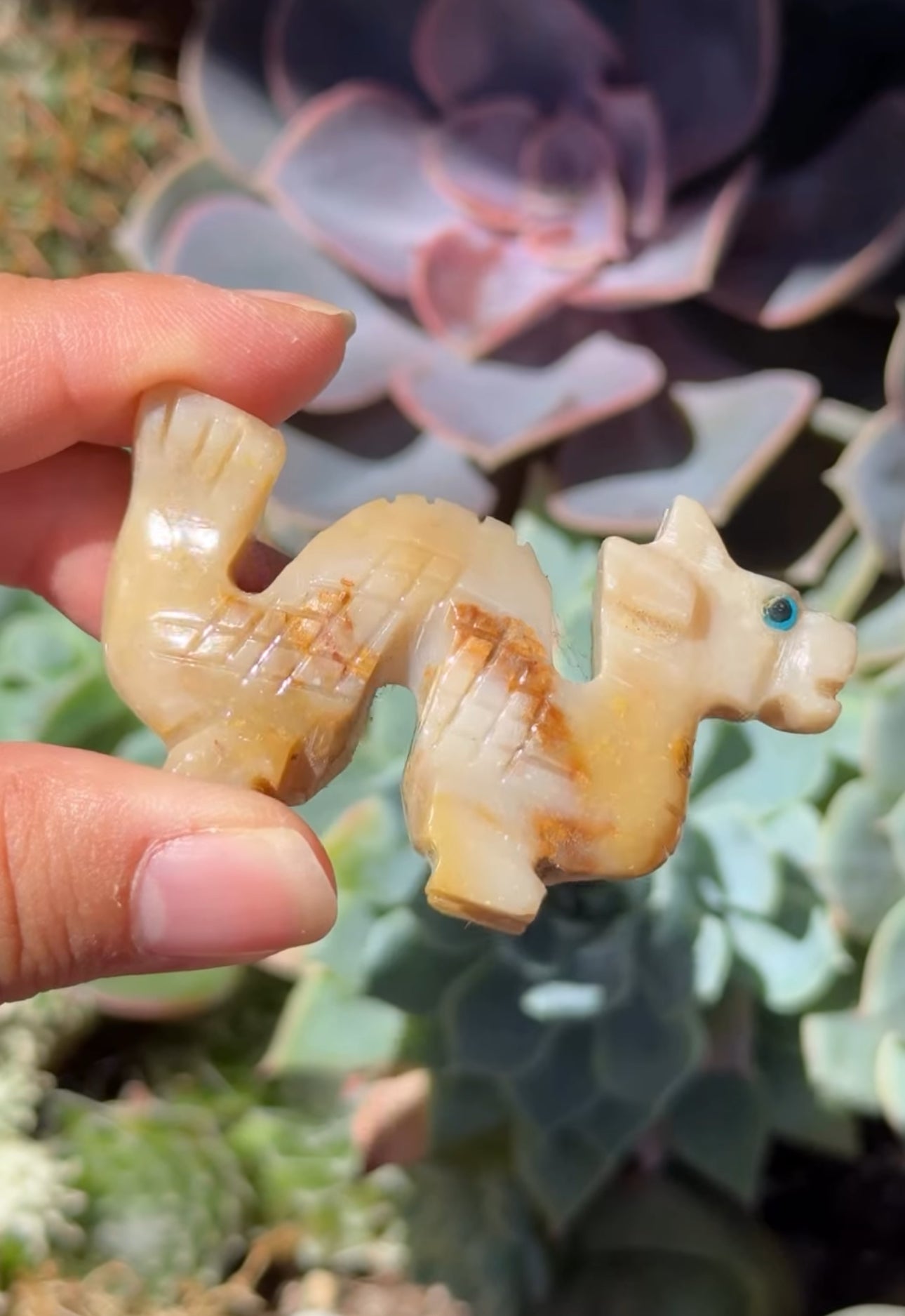 
                  
                    RESERVED LISTING - mickythiess
                  
                