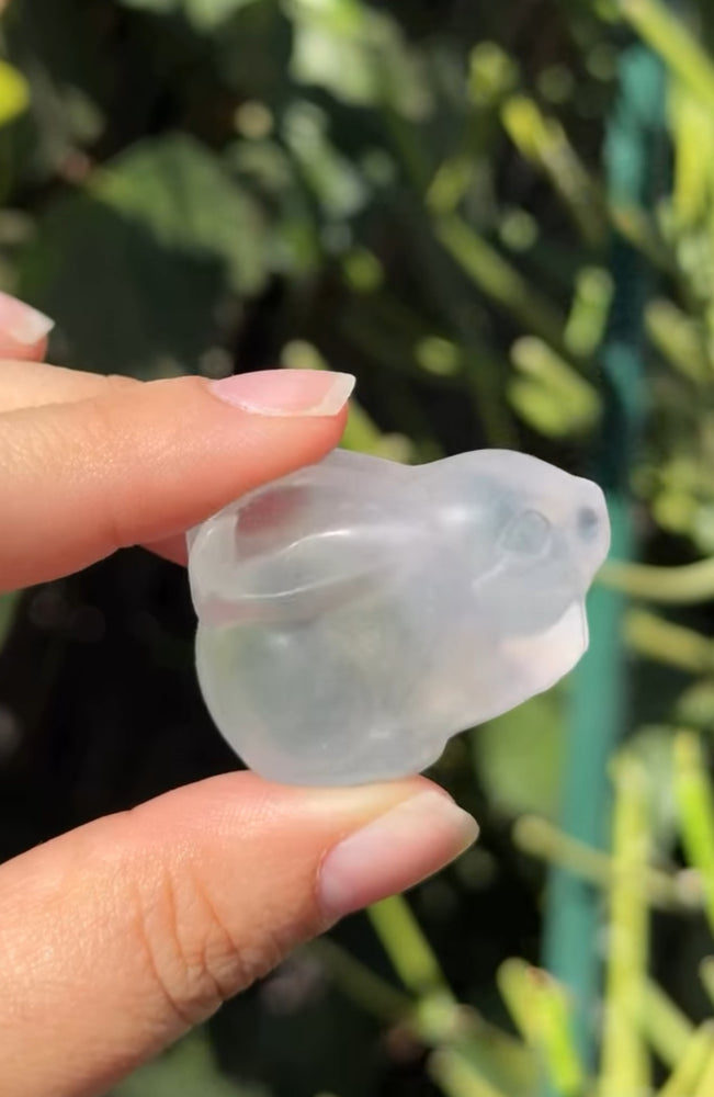 
                  
                    RESERVED LISTING - rue.lew
                  
                