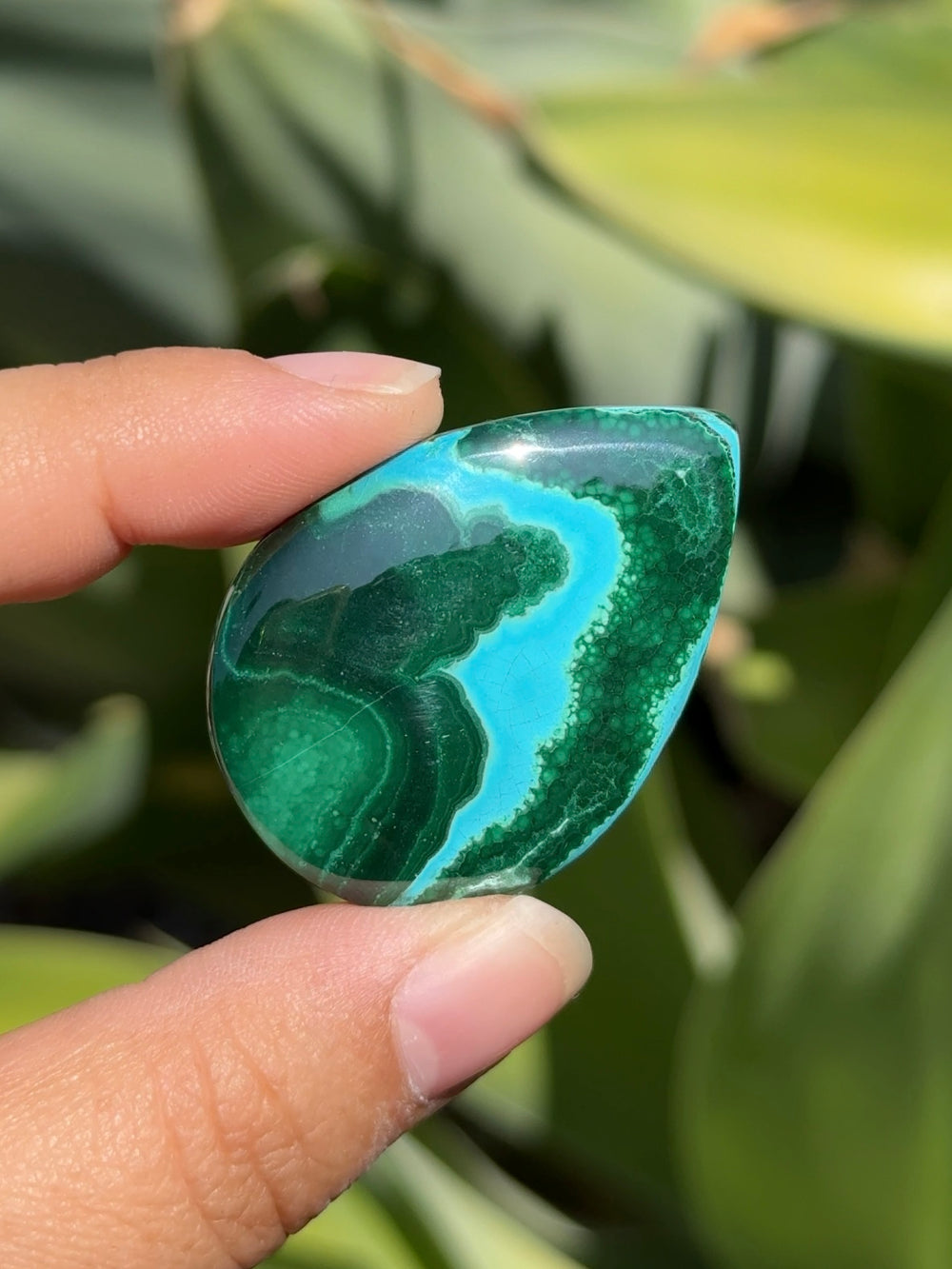 Malachite with Chrysocolla Cab