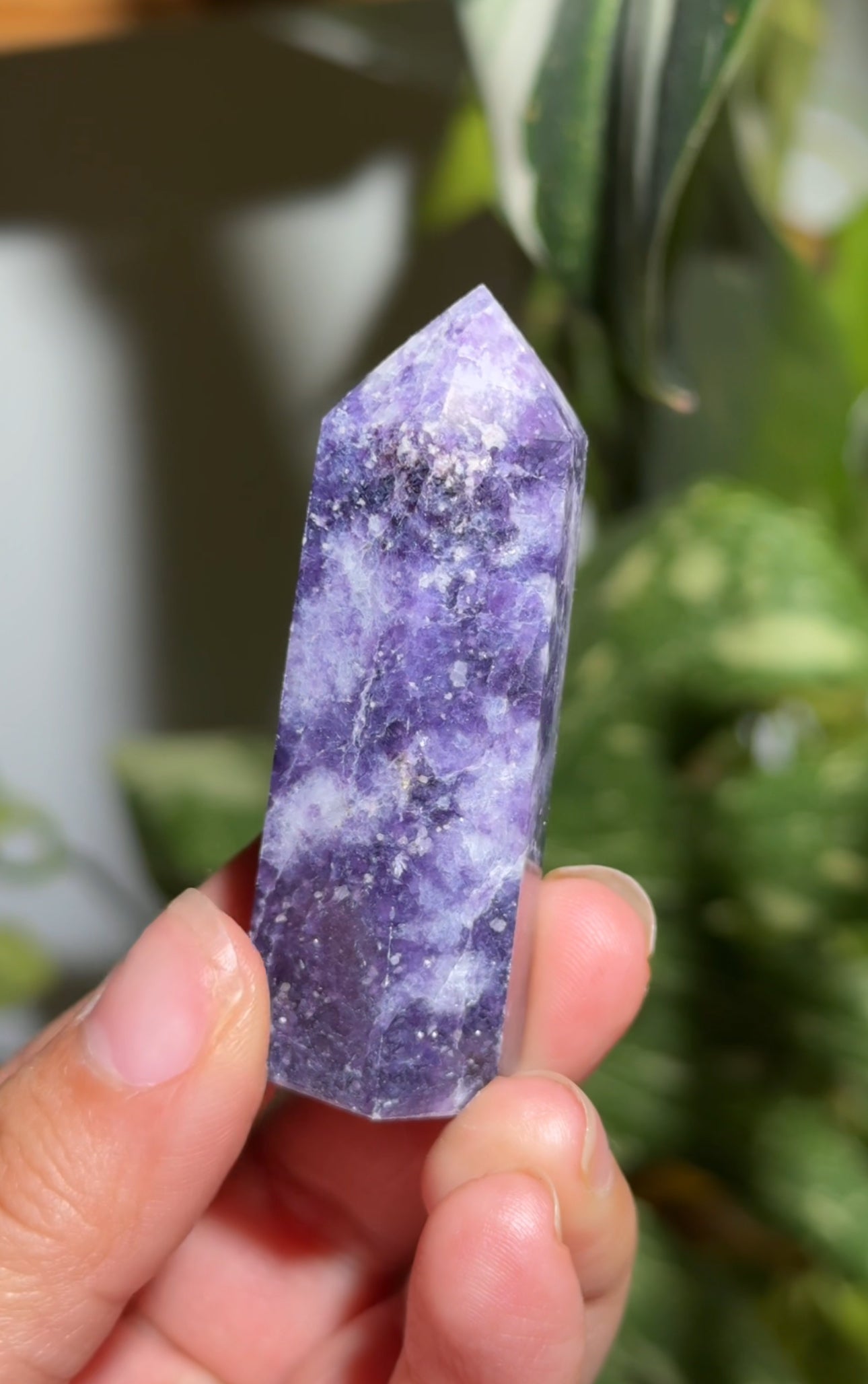 
                  
                    RESERVED LISTING - adaydreamersfolly
                  
                