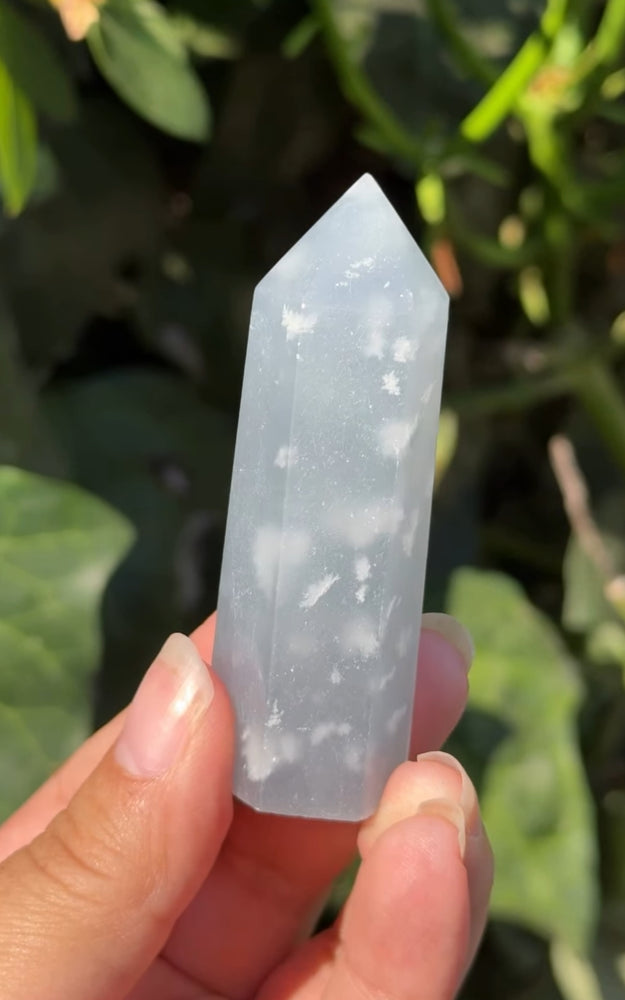 
                  
                    RESERVED LISTING - c_genesisallison87
                  
                