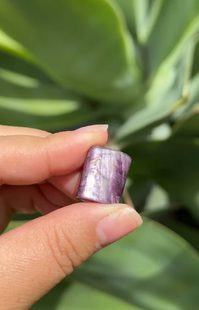 
                  
                    RESERVED LISTING - erinfetz
                  
                