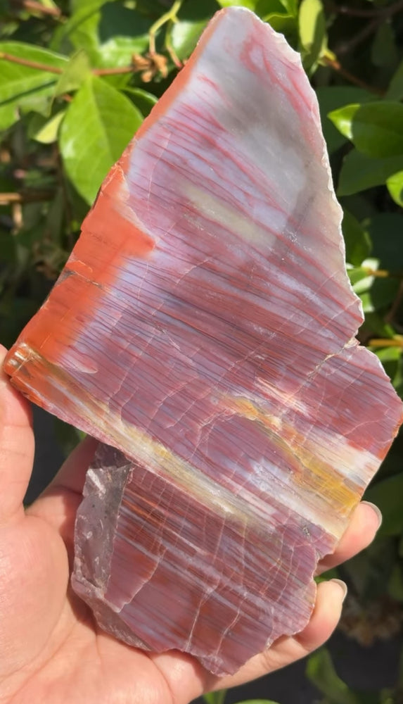 
                  
                    RESERVED LISTING - carly.cylar_
                  
                