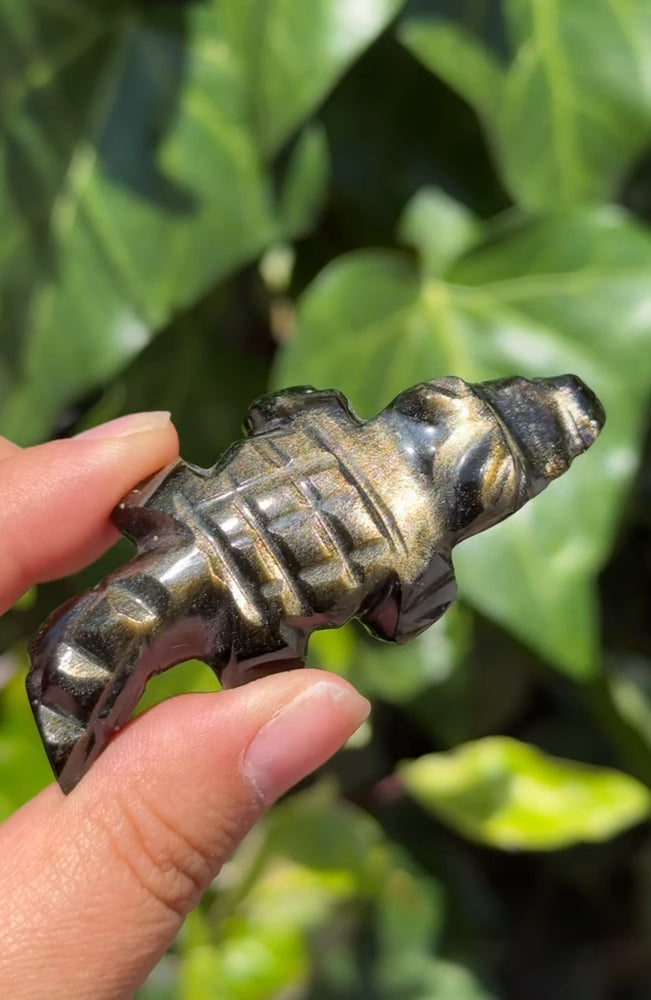 
                  
                    RESERVED LISTING - freedom.to.express
                  
                