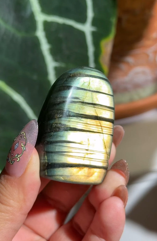 
                  
                    RESERVED LISTING - kelseyplanslife
                  
                