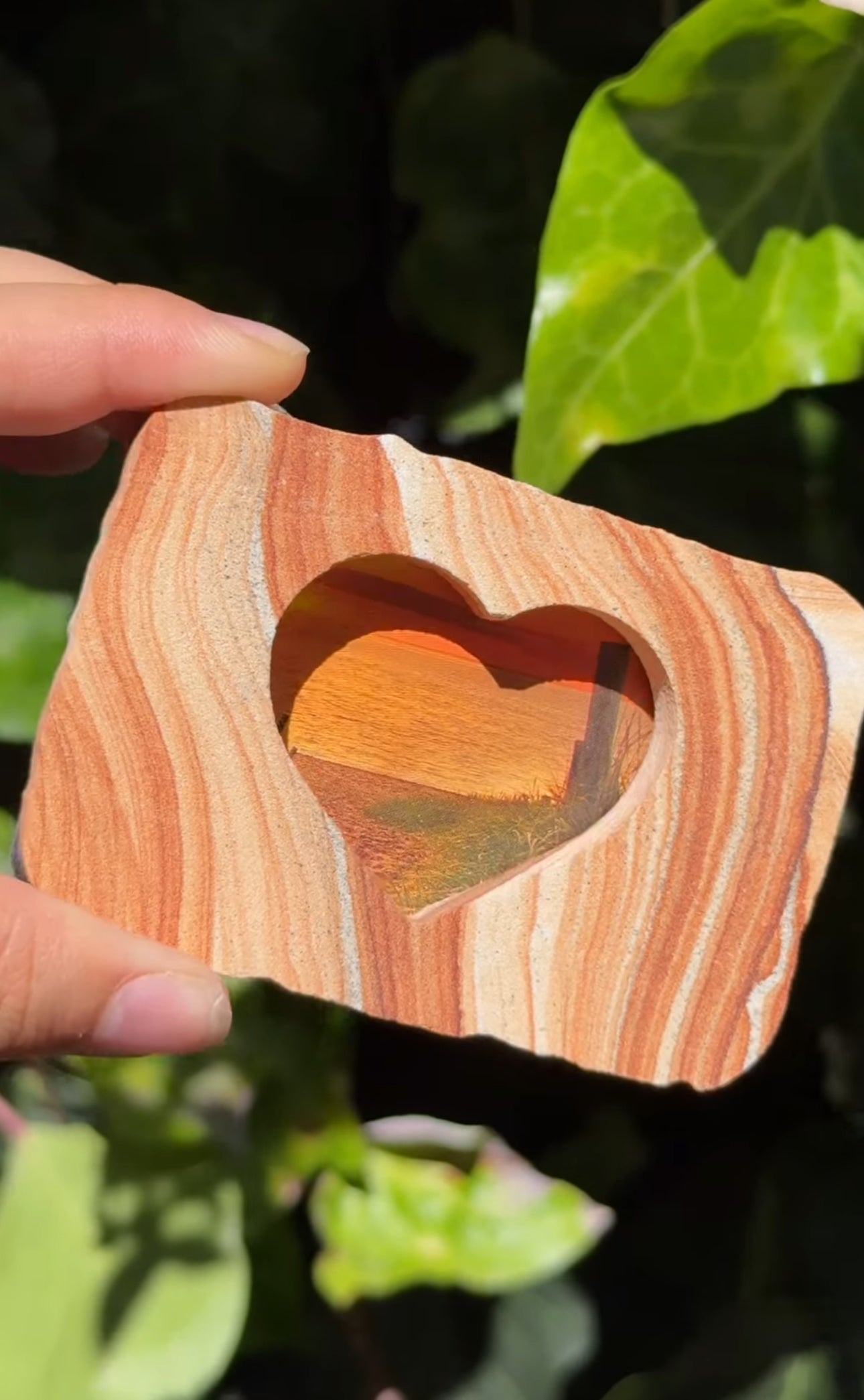 
                  
                    RESERVED LISTING - catniss_evergreen
                  
                