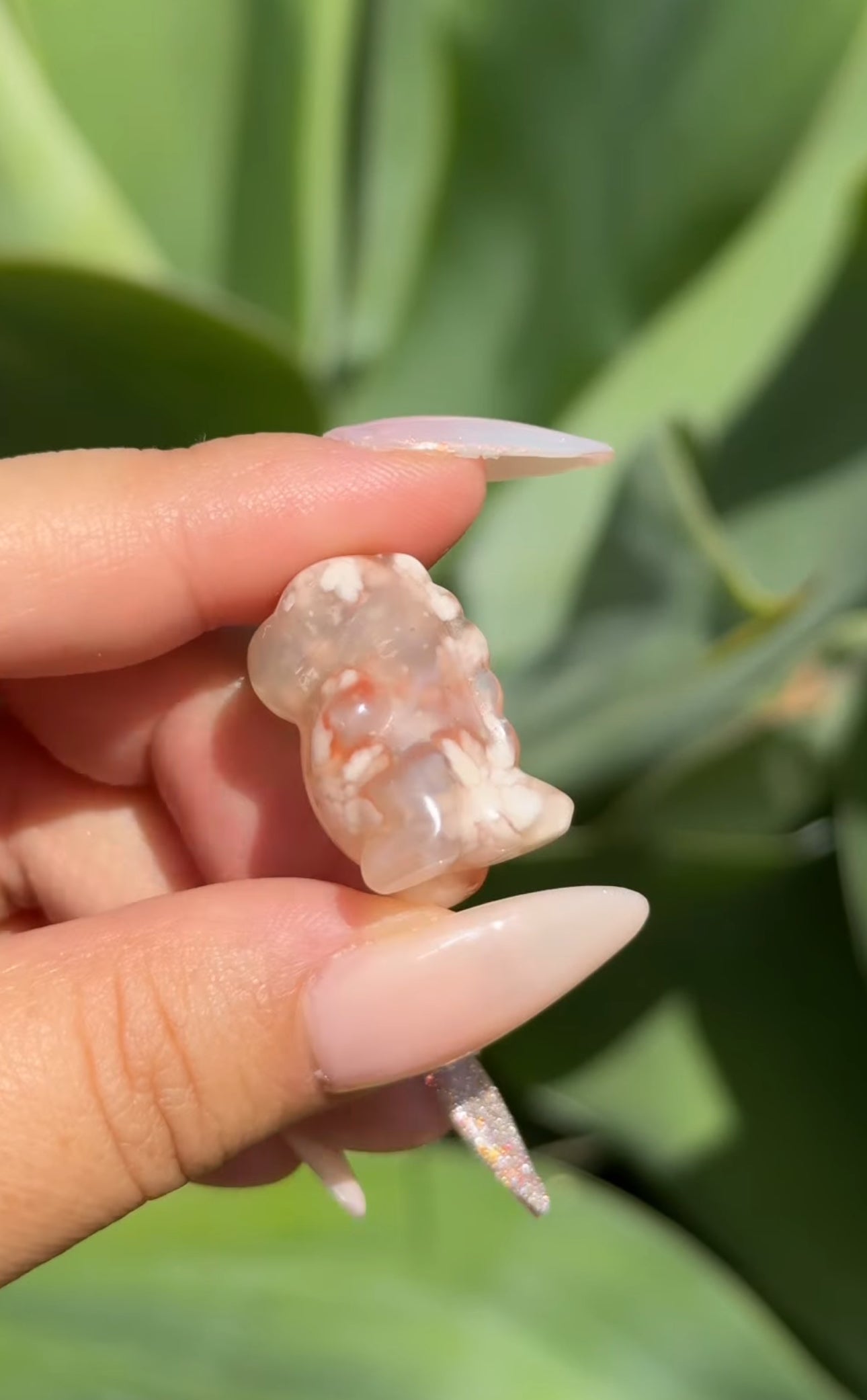 
                  
                    RESERVED LISTING - jval
                  
                