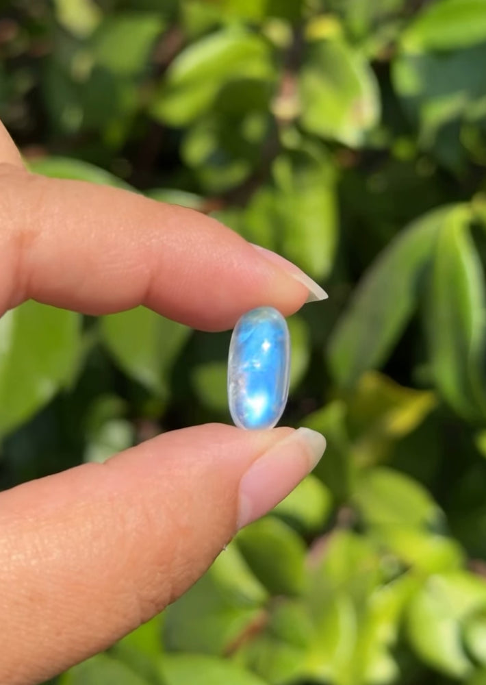 
                  
                    RESERVED LISTING - zombieboy69
                  
                