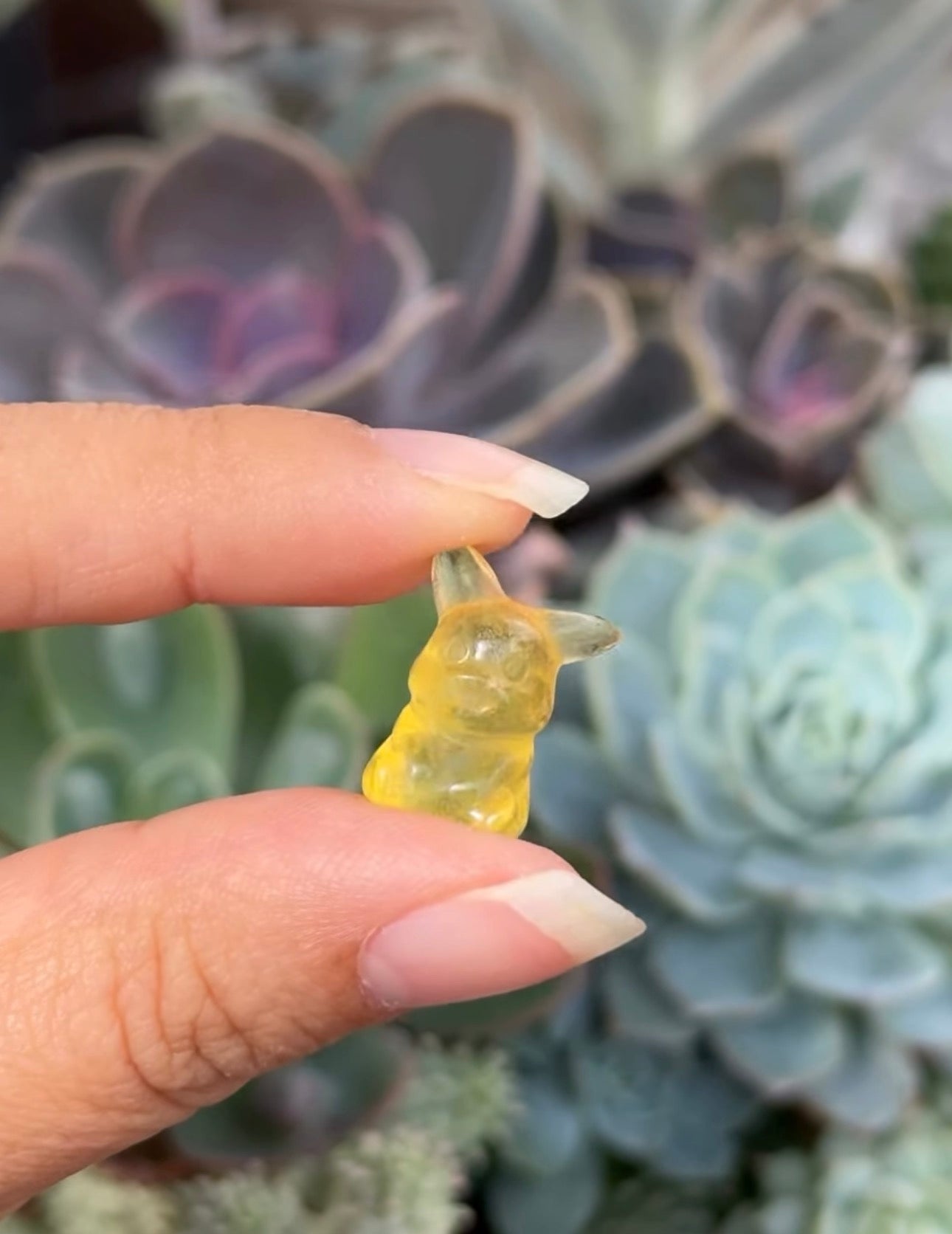 
                  
                    RESERVED LISTING - bitshbabe
                  
                