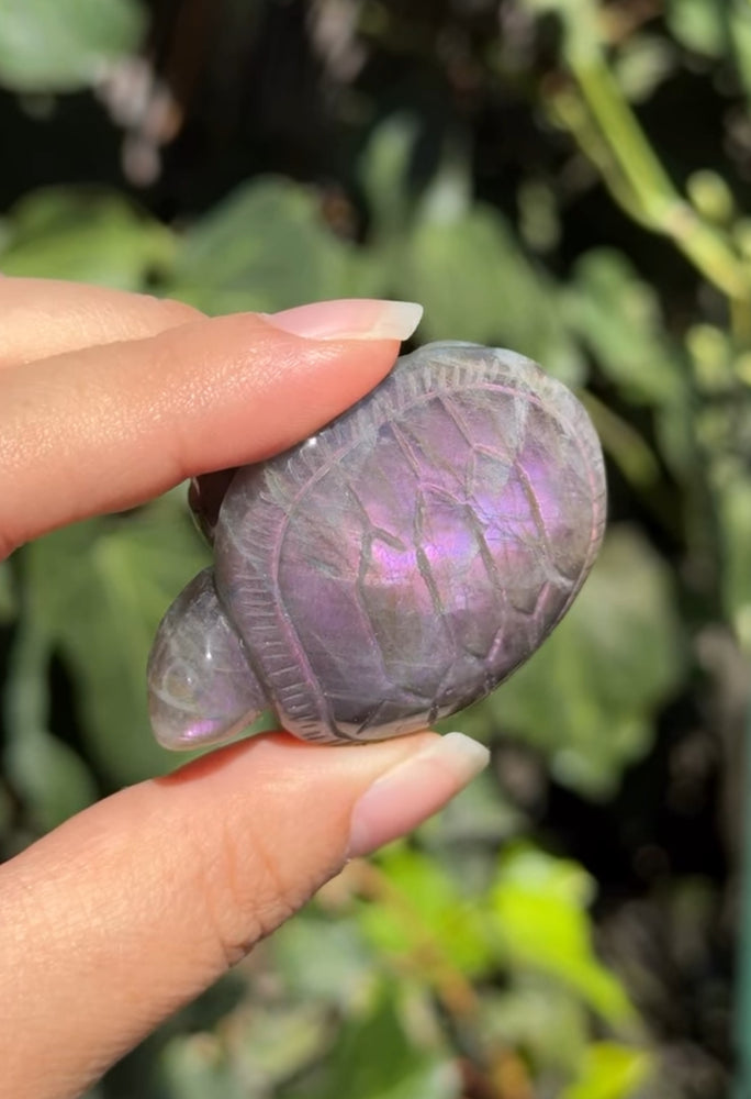 
                  
                    RESERVED LISTING - Erin
                  
                