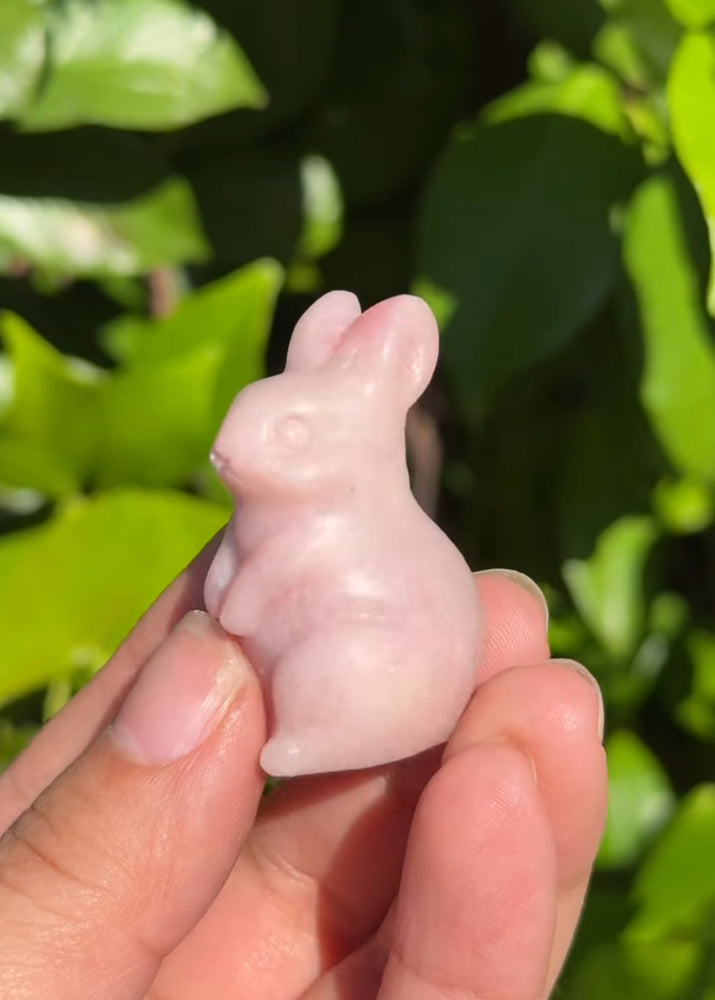 
                  
                    RESERVED LISTING - loliastardust
                  
                