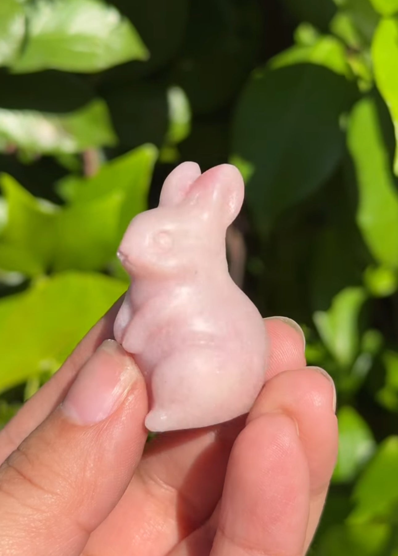 
                  
                    RESERVED LISTING - loliastardust
                  
                